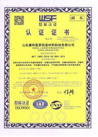 ISO 9001 ISO 9001